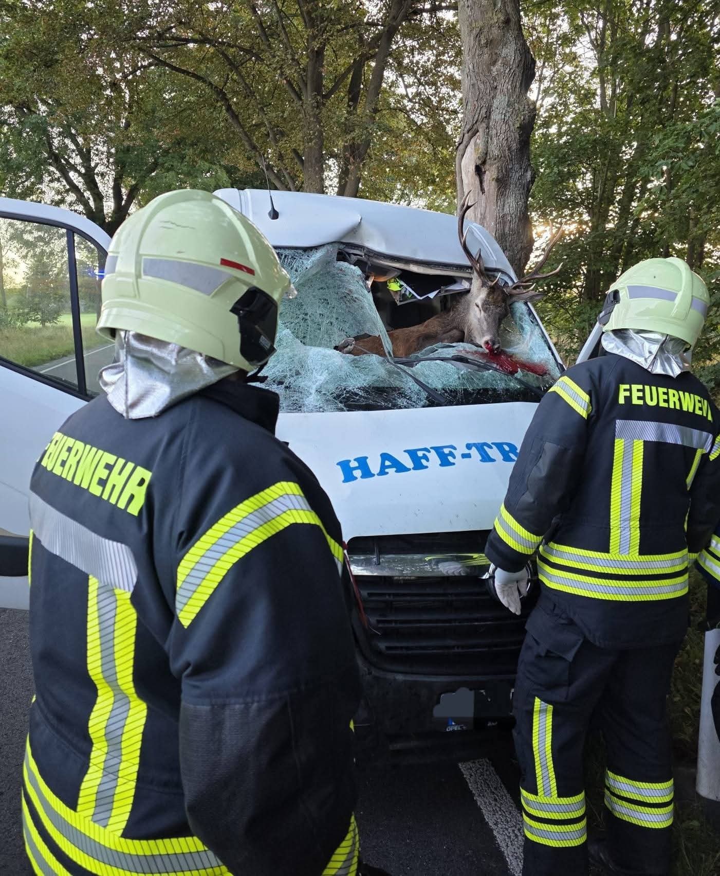 Wildunfall Einsatzkräfte bei der Bergung, © Feuerwehr Medow