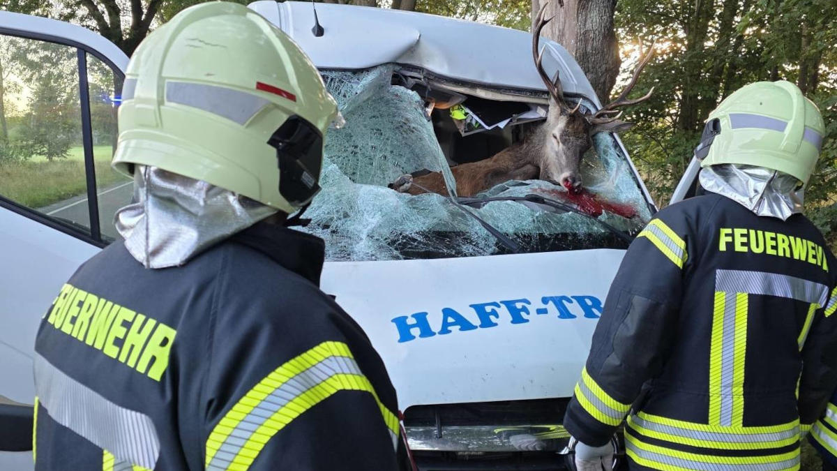 Wildunfall: Feuerwehr bei der Bergung, © Feuerwehr Medow